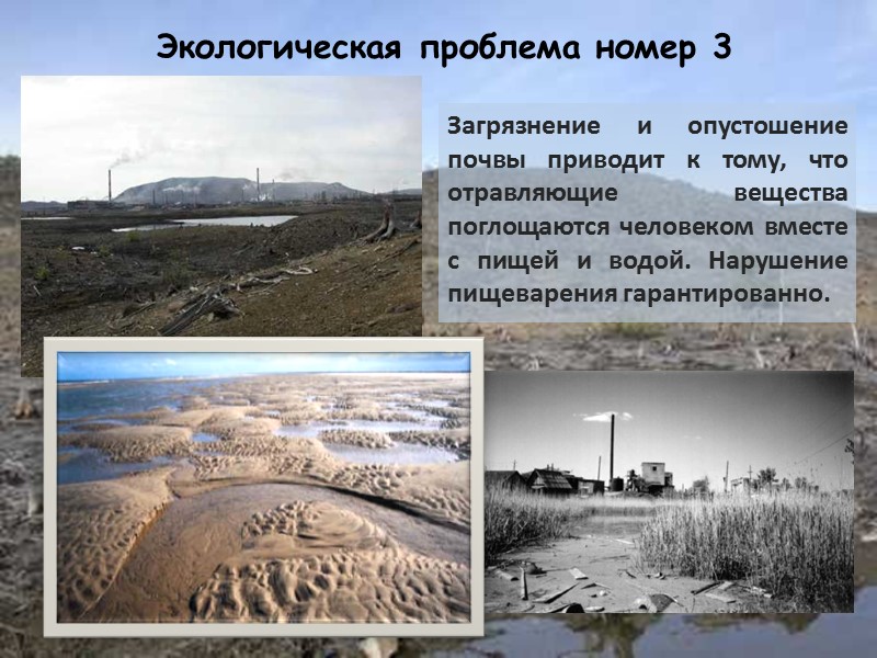 Экологическая проблема номер 3 Загрязнение и опустошение почвы приводит к тому, что отравляющие вещества